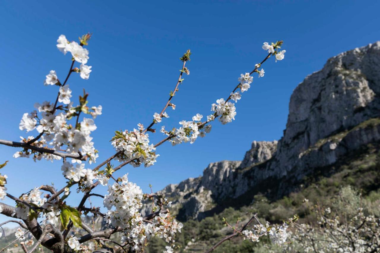 Hotel El Capricho Beniali (Adults Only) Alicante Bagian luar foto